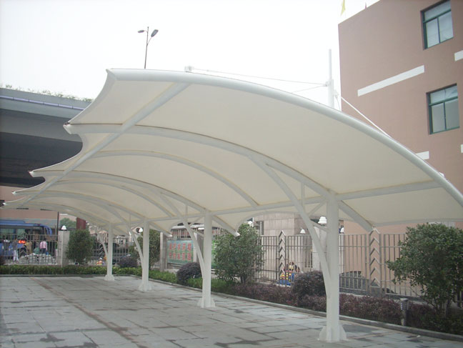 1551163881323980.jpg 2 (37).jpg