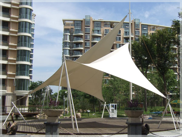 1554192308473797.jpg 2 (7).jpg