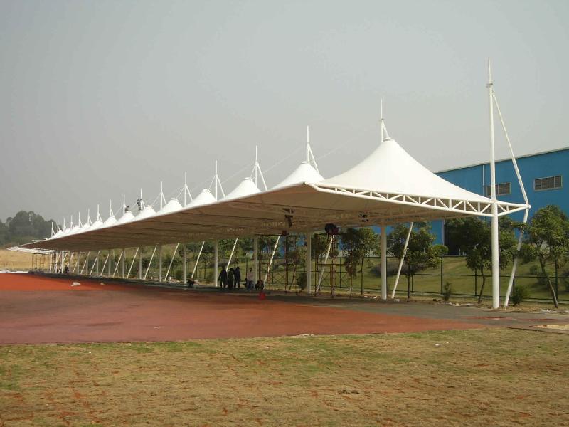 1590029818637019.jpg 1590029818637019.jpg