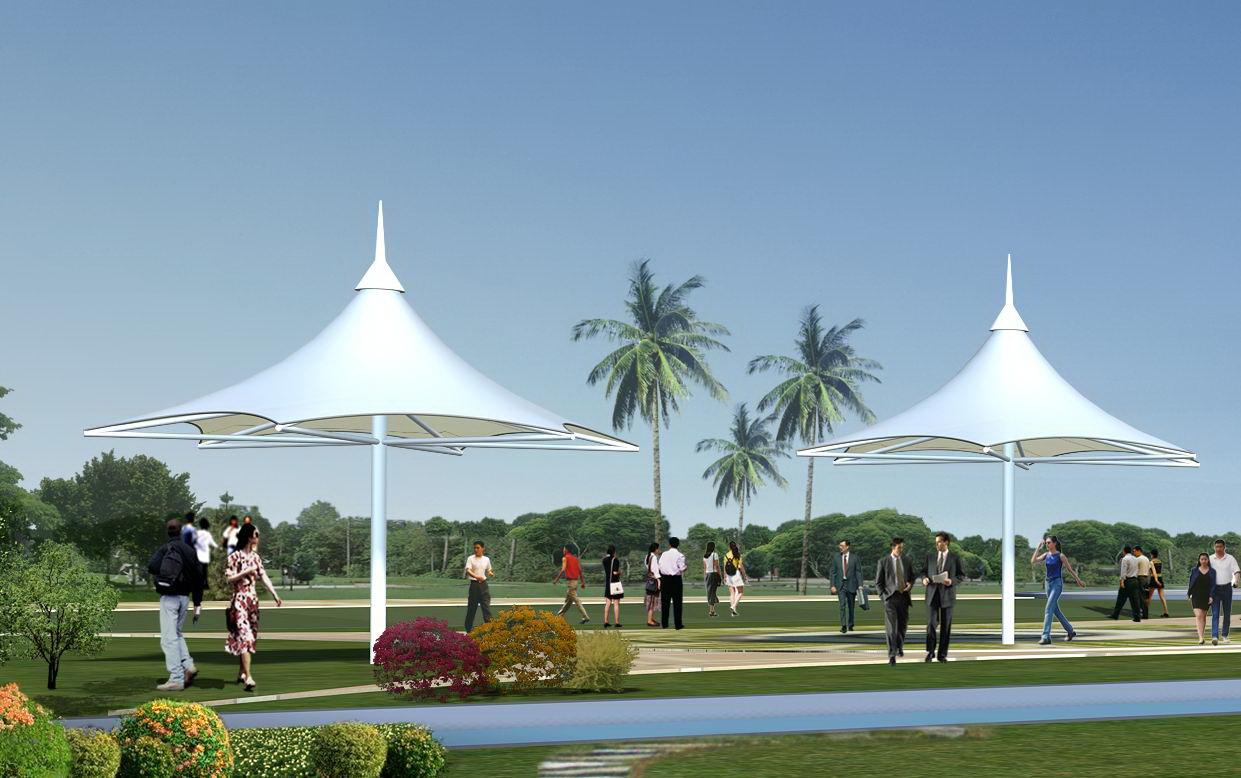 1595993500802456.jpg 1595993500802456.jpg