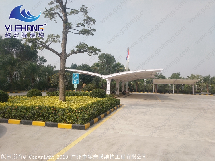 1601711957679579.jpg 2.jpg