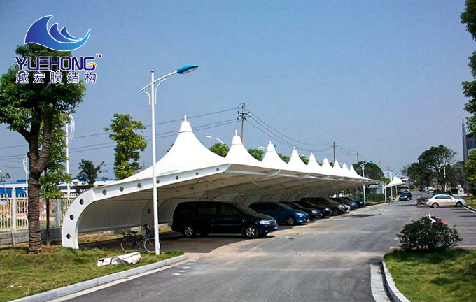 1604995828773231.jpg 1 (13).jpg